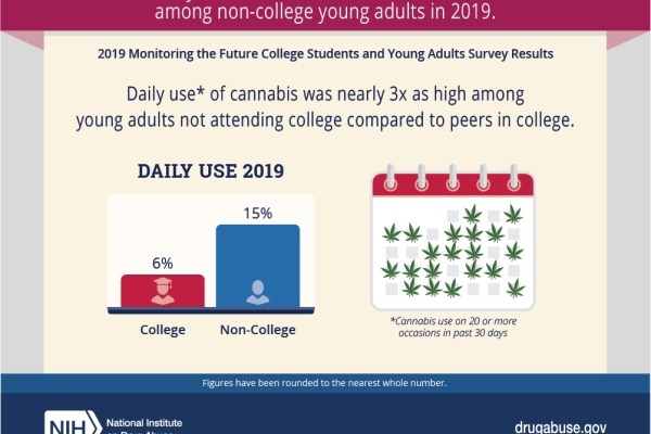 Daily cannabis use was more common among non-college young adults in 2019