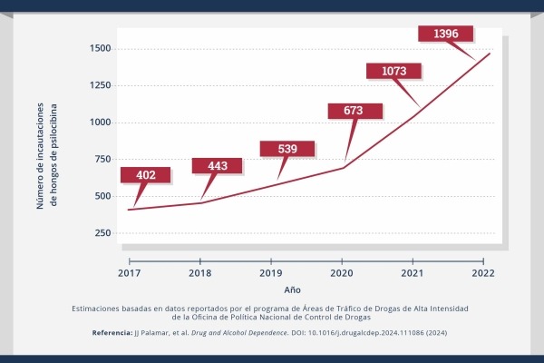 Un gráfico de líneas que muestra el número de incautaciones de hongos de psilocibina por año por parte de las autoridades. El año se representa en el eje X y el "Número de incautaciones de hongos por parte de las autoridades" se representa en el eje Y. Estos son los valores. 2017 = 402 2018 = 443 2019 = 539 2020 = 673 2021 = 1073 2022 = 1396